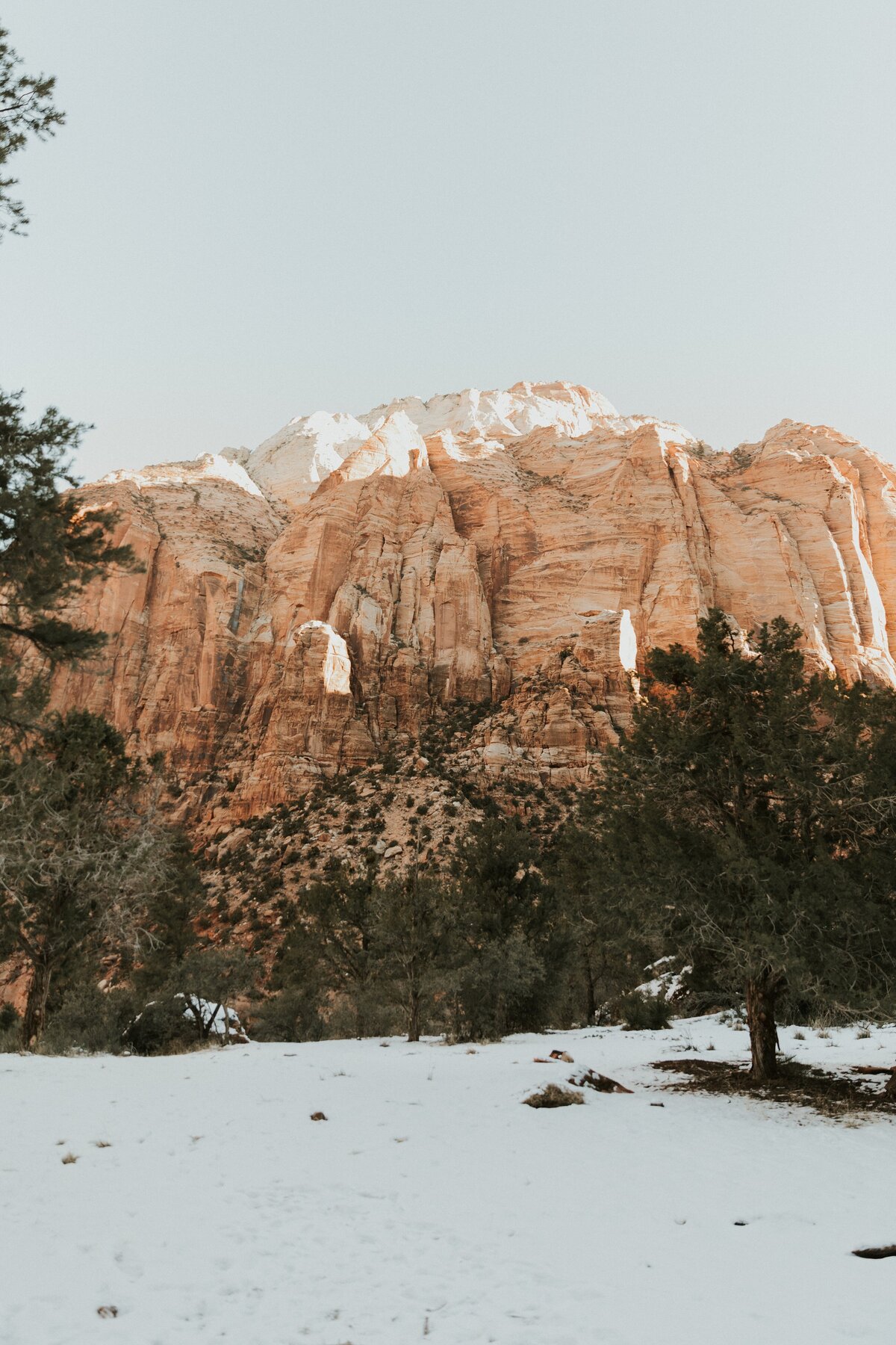 Zion-National-Park-3