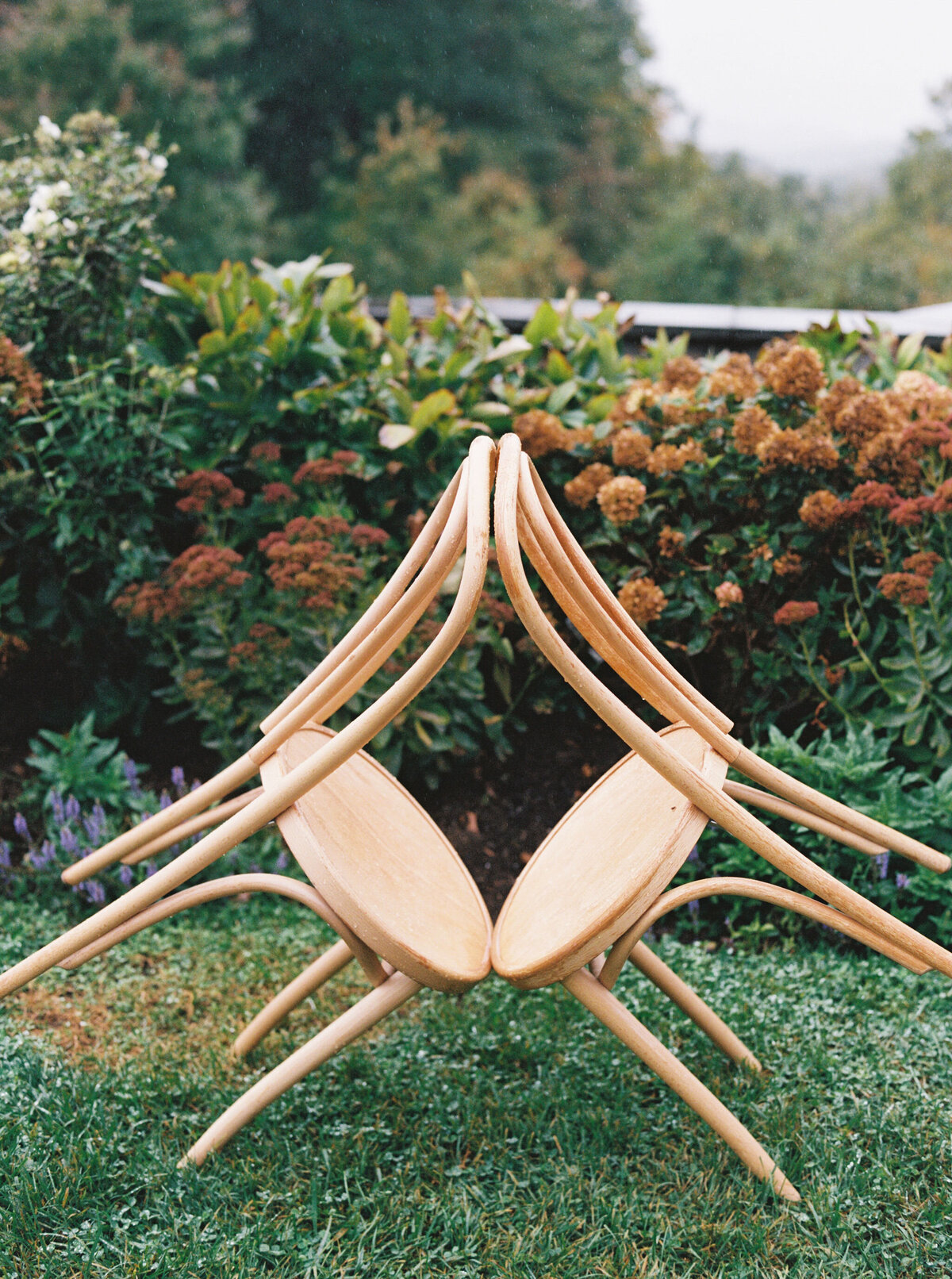 sarah-lord-photo-cottagecore-21