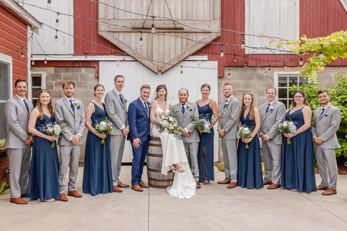 Sarah & Damian Wedding photo - DVX10562