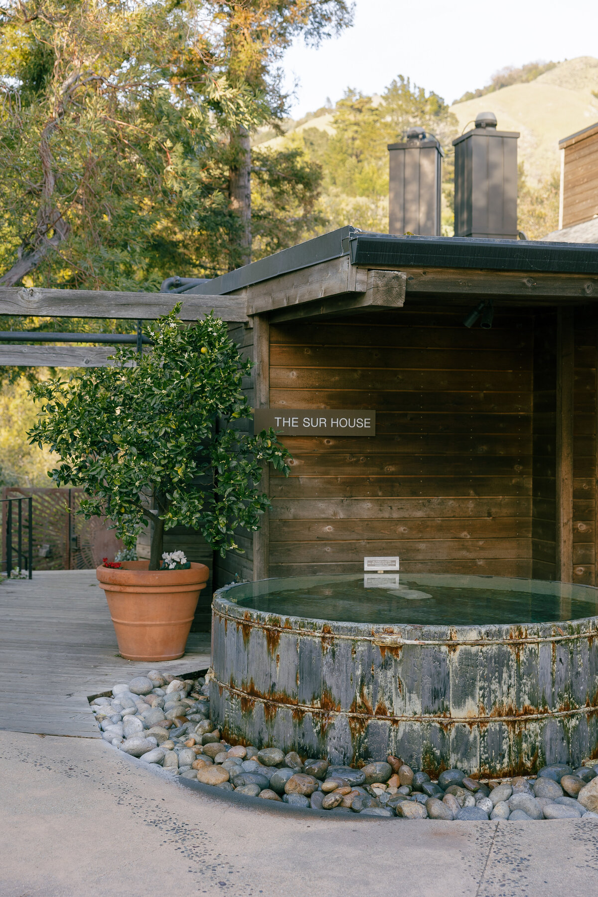 Ventana-Big-Sur-Wedding-Photographer-96