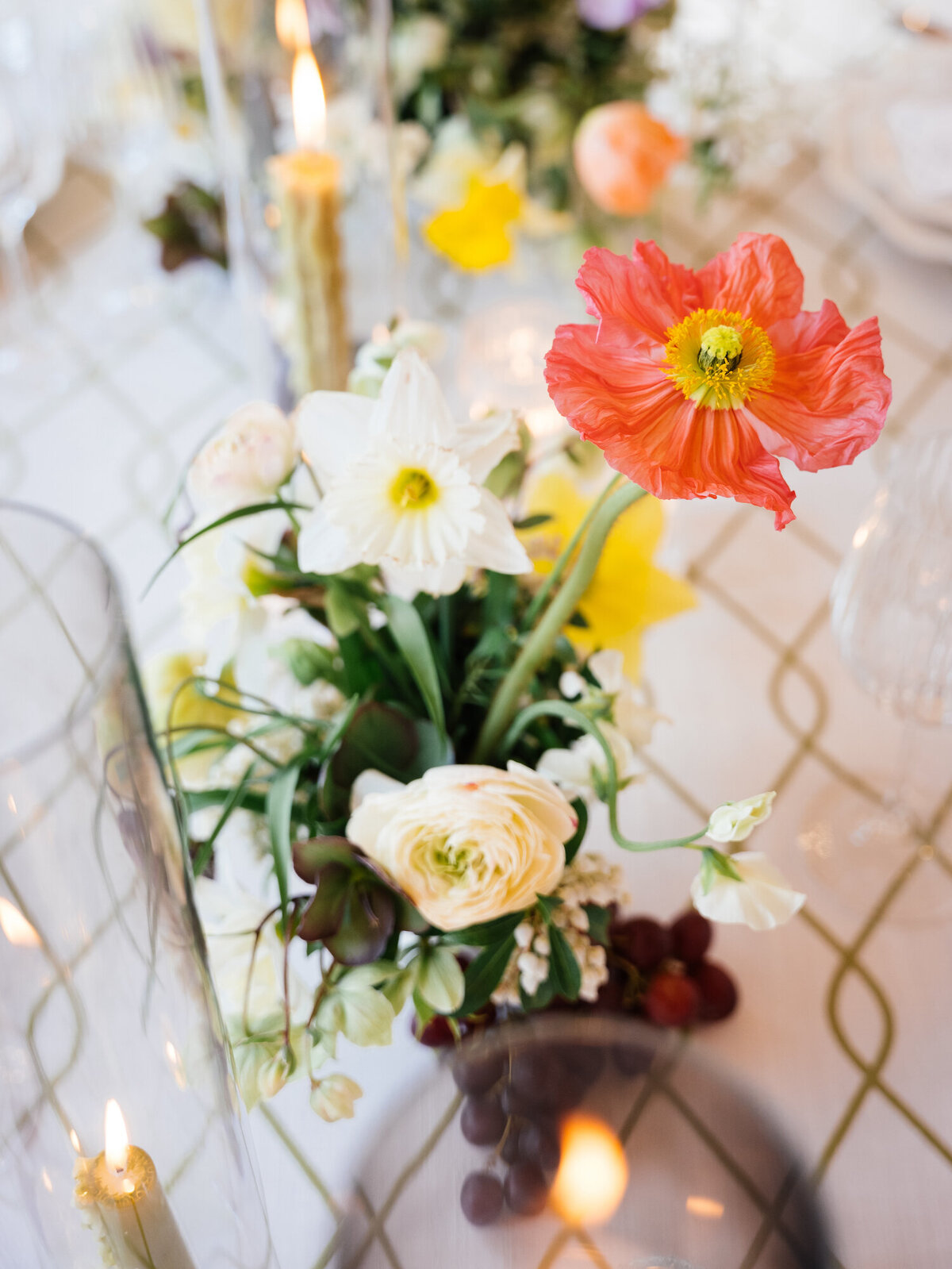 leila-brewster-photography-291
