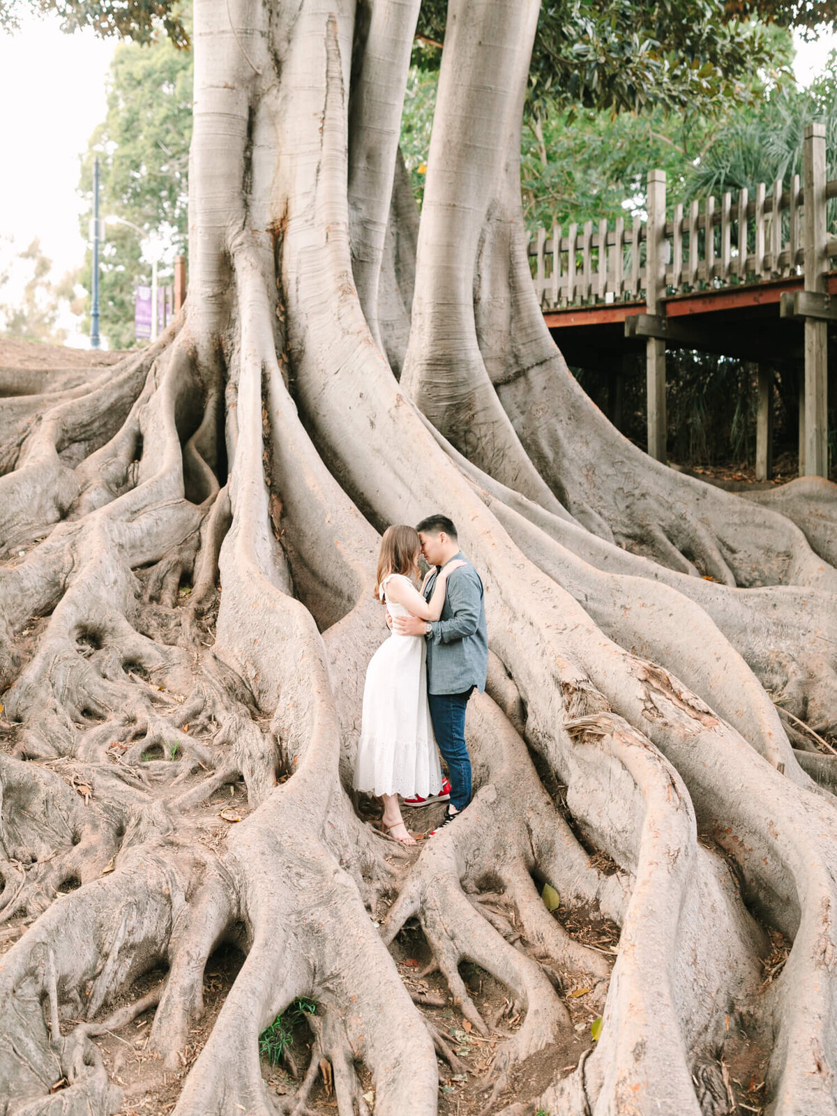 couple at tall tree with twisted roots at balboa park san diego