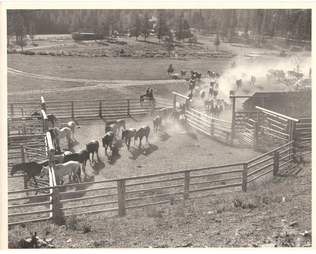 image1 (1)