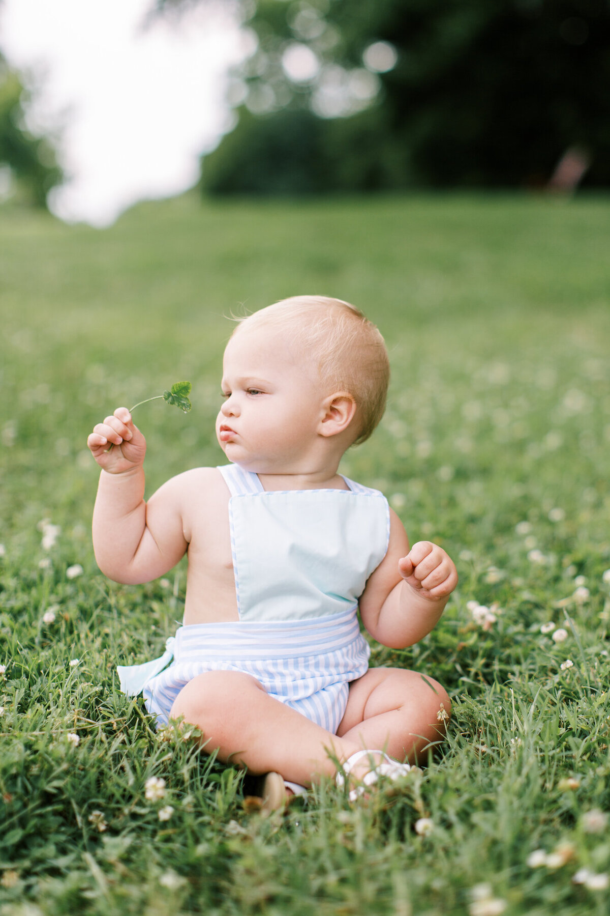 Daimler_9_Months_Abigail_Malone_Photography_Knoxville-119