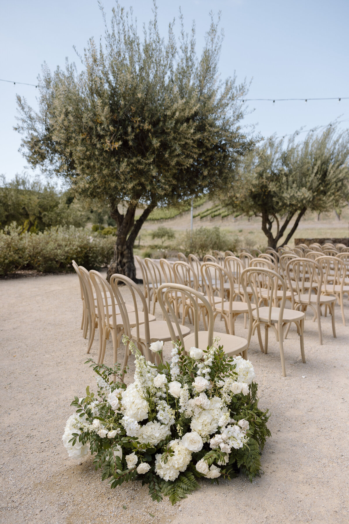 Paso Robles Wedding Photographer-22