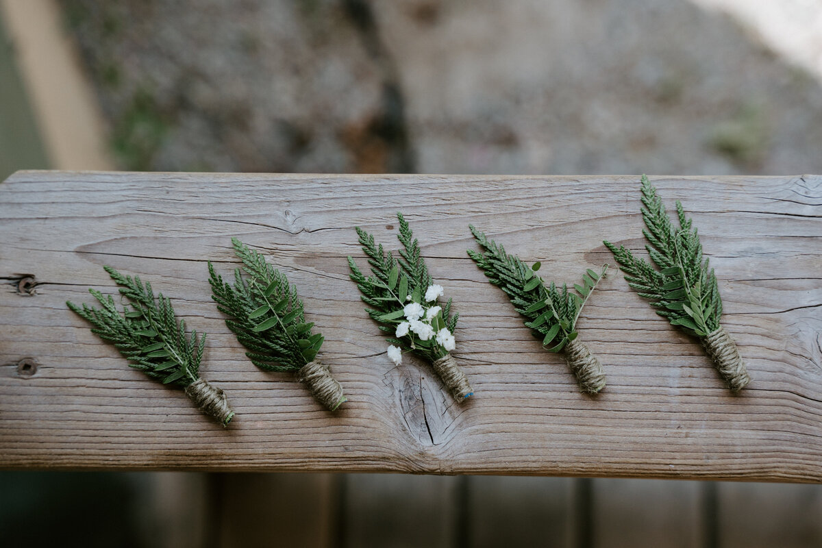 Squamish elopement details