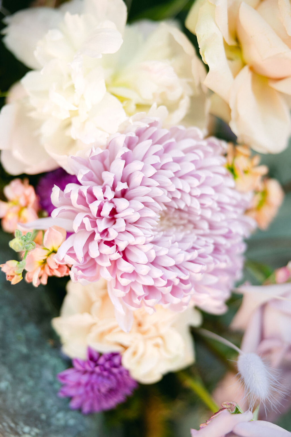 ChelseyBlackPhotography-3049