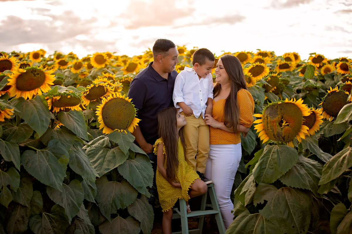 MiniSession-Sunflower-Family-Photographer-Photography-Vaughan-Maple-182