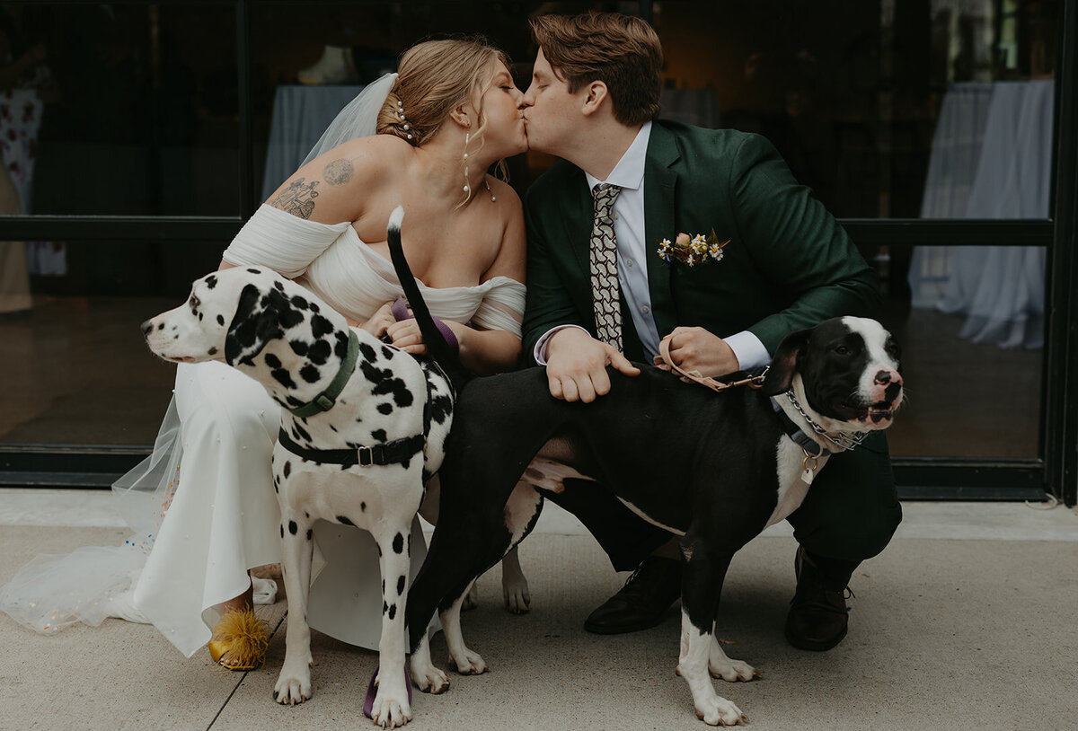 bride and groom with dogs on wedding day