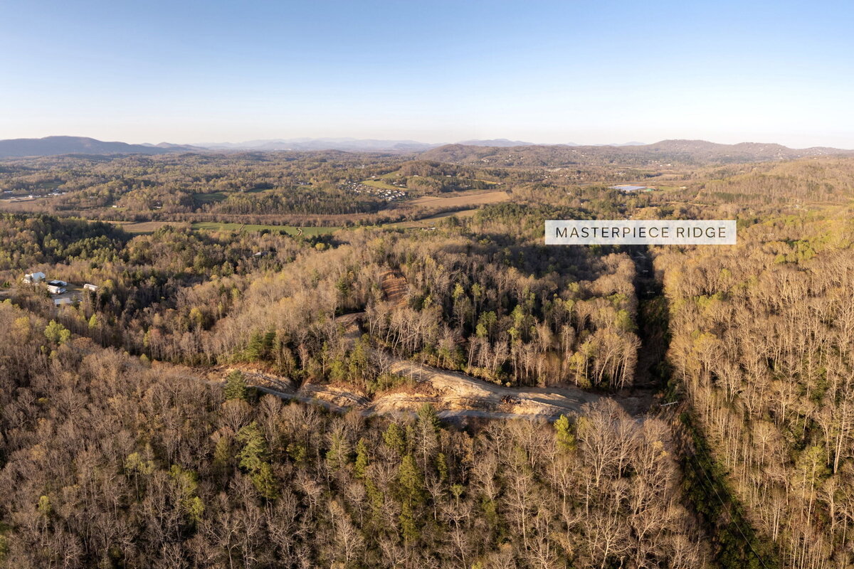 1-web-or-mls-01-DJI_0744 (1)