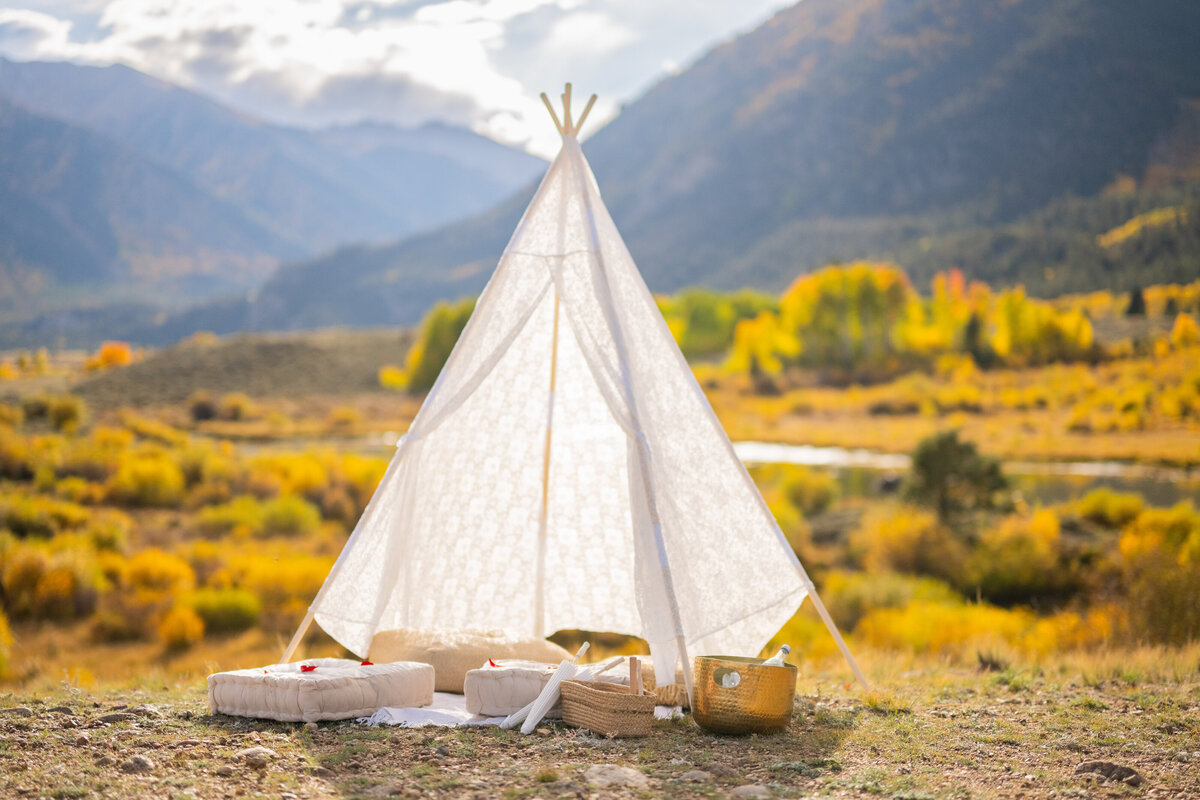 Swati and Anisha Proposal-3