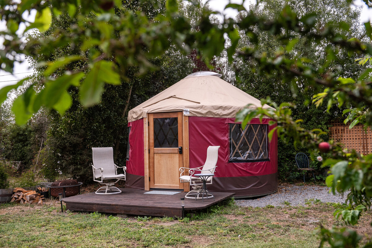 Hipcamp Yurt-4940