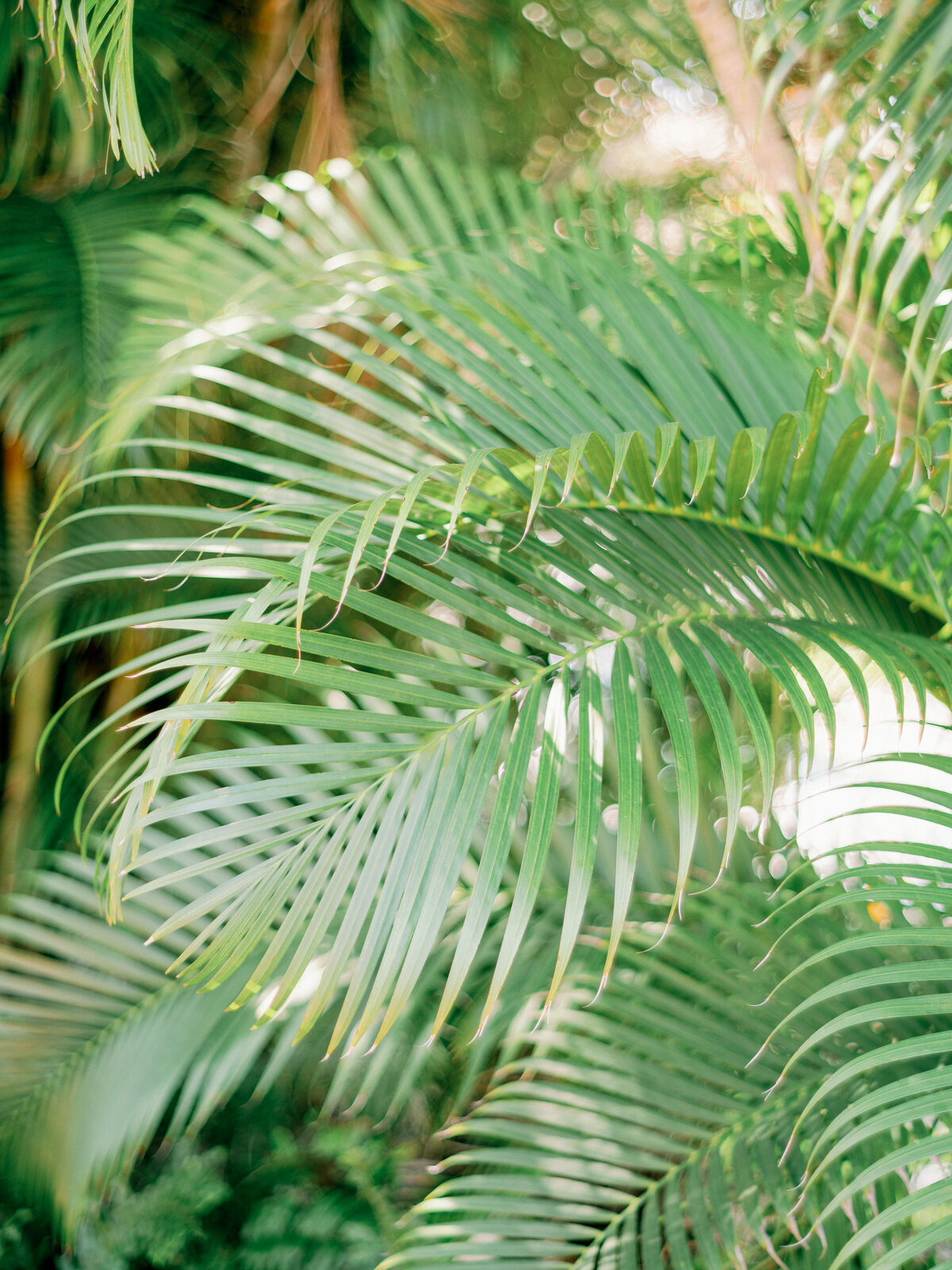 port royal naples florida destination wedding wedding hunter ryan photo-1