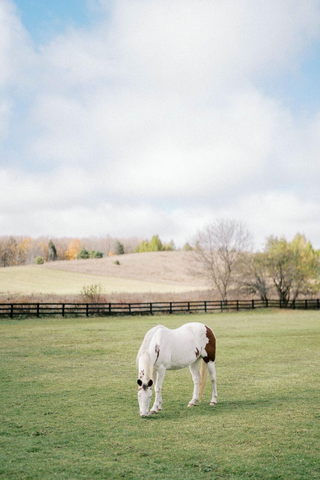 W11-Wedding-Photos-Caledon-Valley-Estate-Eleanor-and-Michael-2024-11-02-2500px-1018