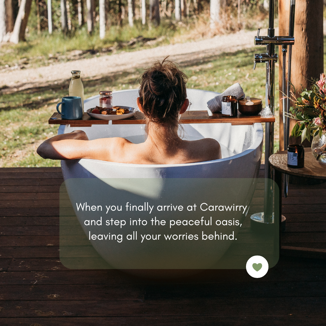 Meta Ads For Boutique Hotels