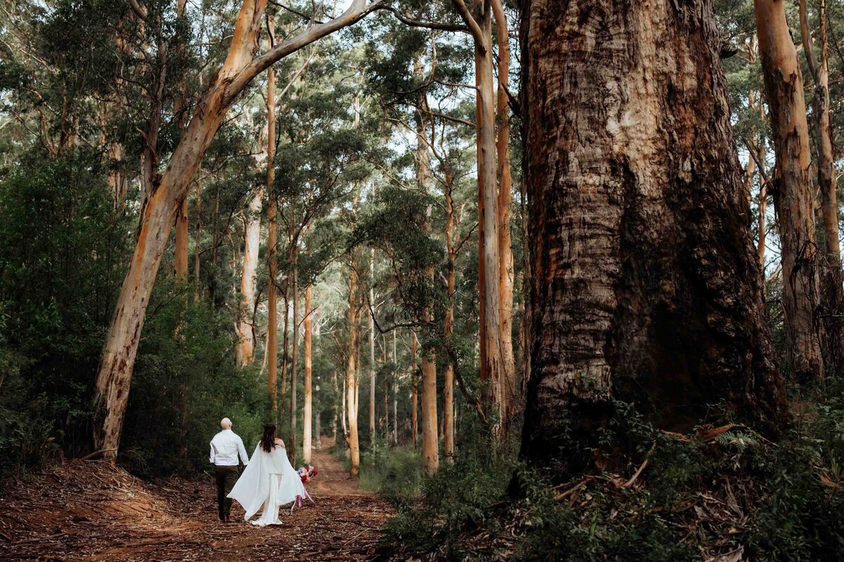 Forest-Elopement-20