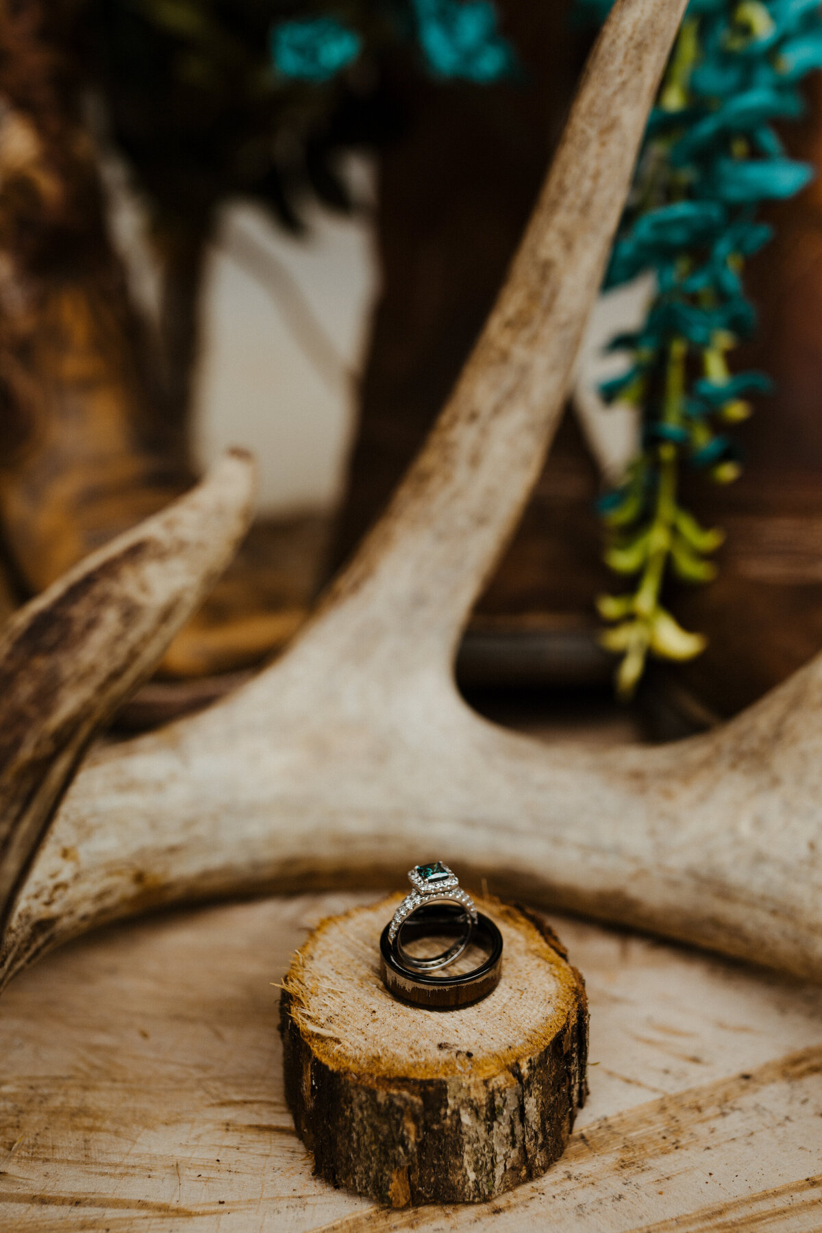 colorado-wedding-photographer-in-soddy-daisy-tennessee-at-mountain-heights-venue-near-nashville-horse-dog-lake-barn-9