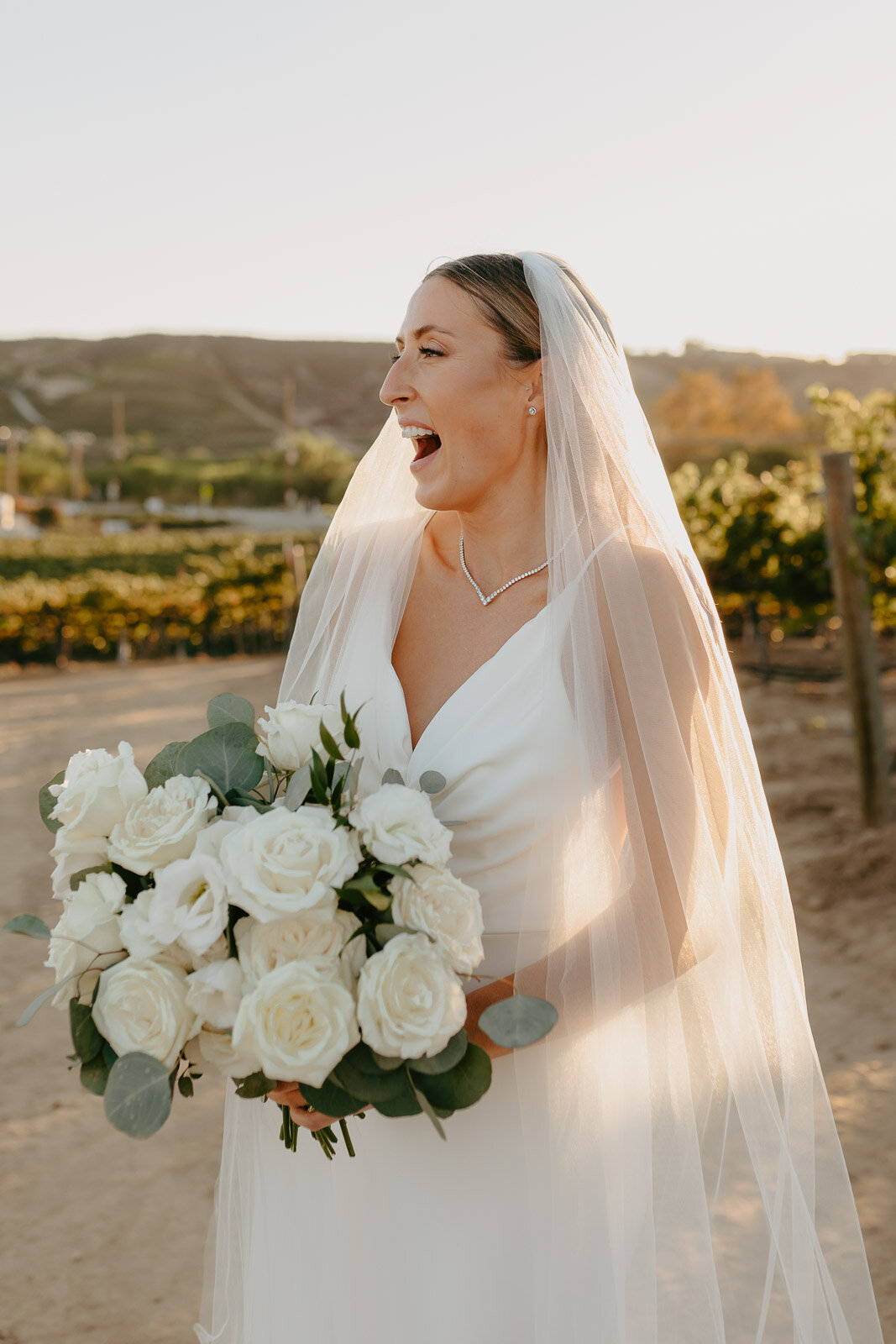 Lexx Creative-Leoness Cellars-Winery Wedding-Temecula-California-58