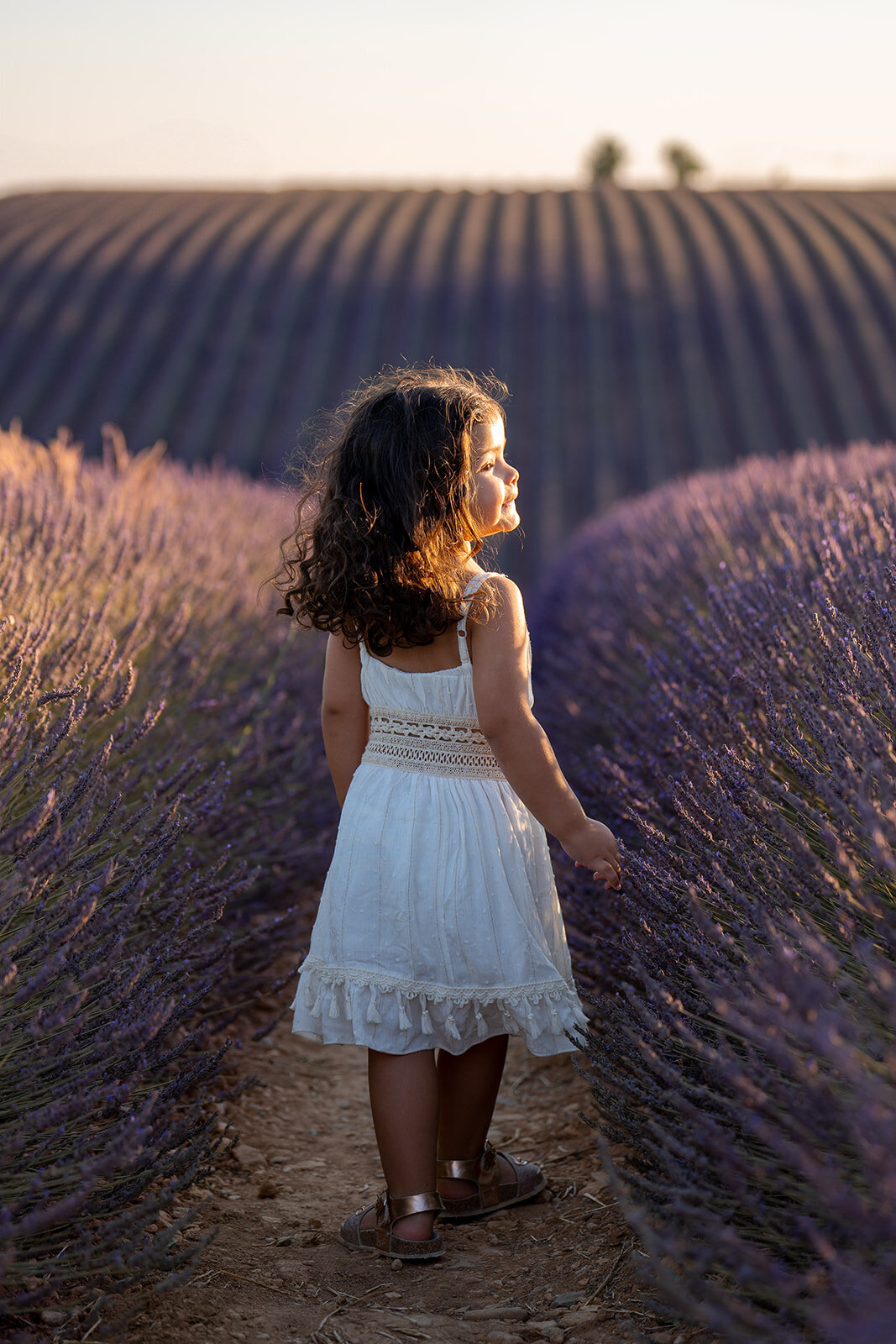 shooting-famille-lavandes-golden-hour-provence245