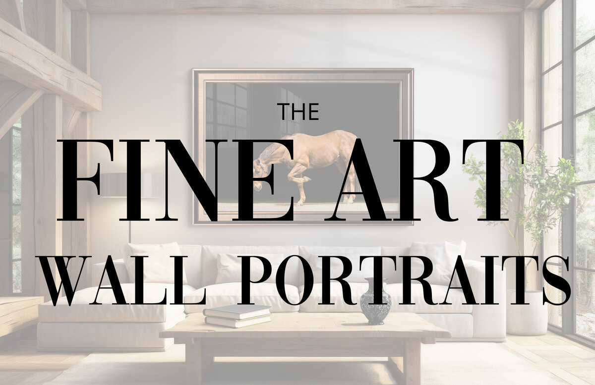 111 - pg 220 -221 - Intro - Wall Portrait