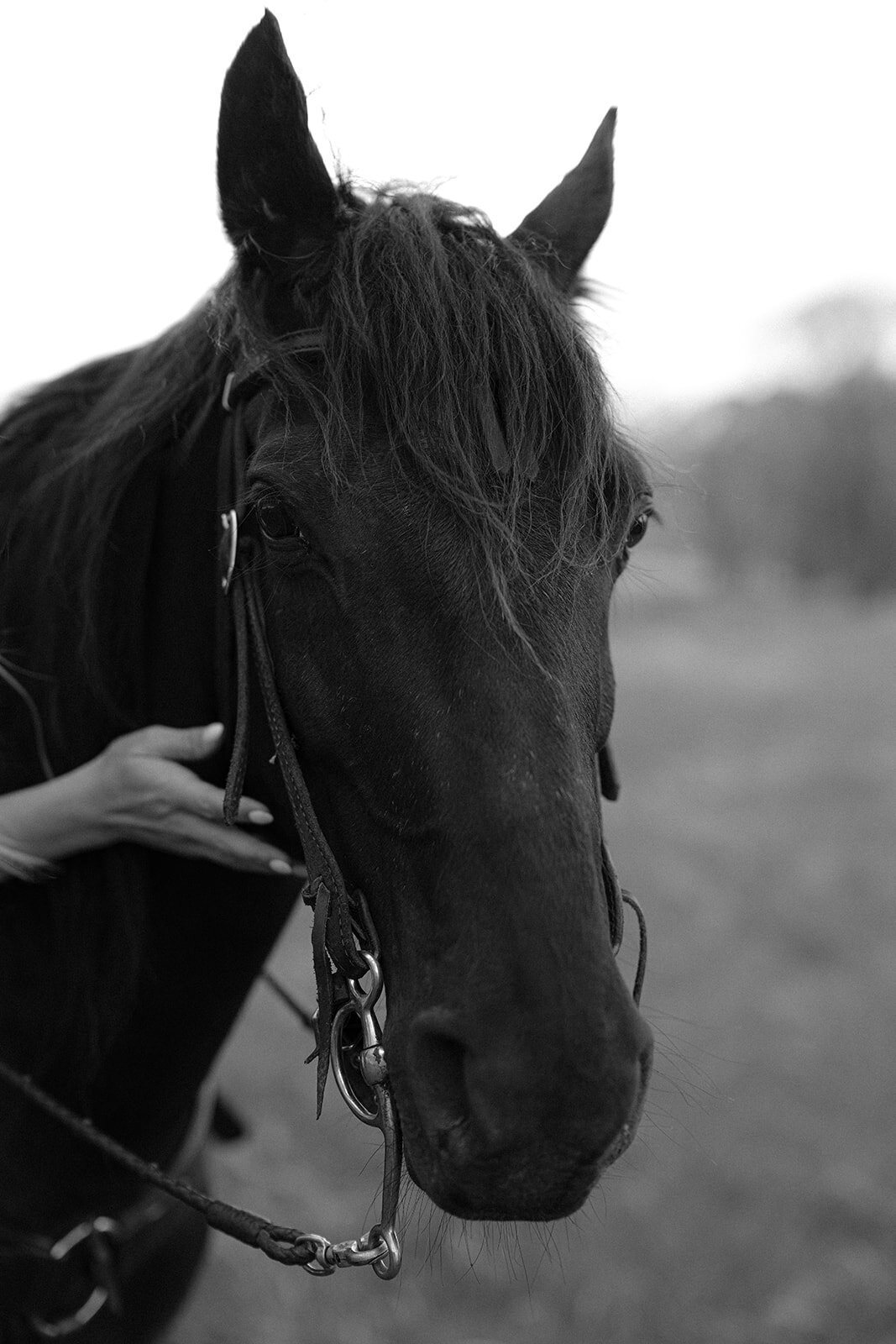 Sarah Jane & Dustin Formals - 187