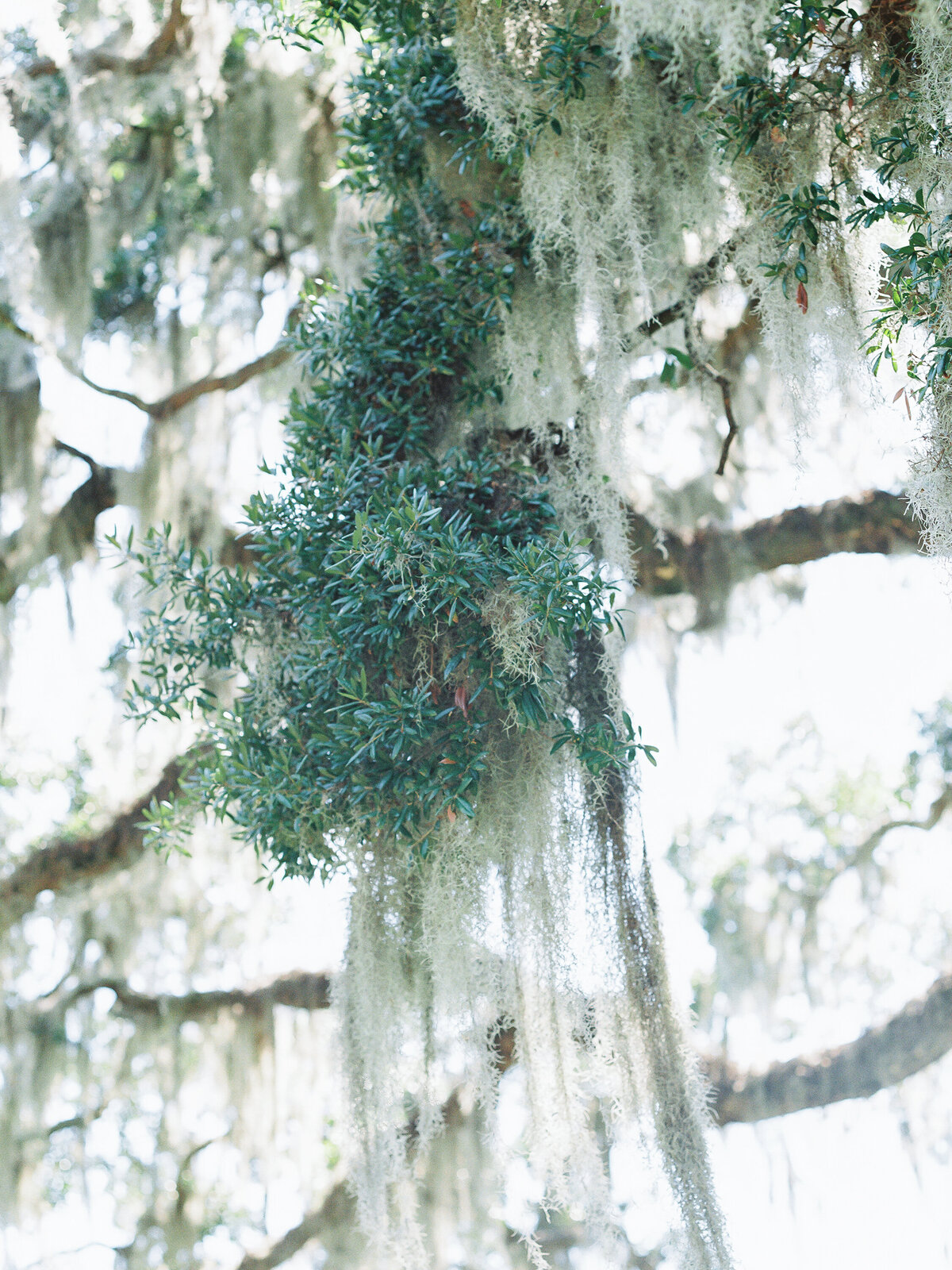 may-river-chapel-wedding-18
