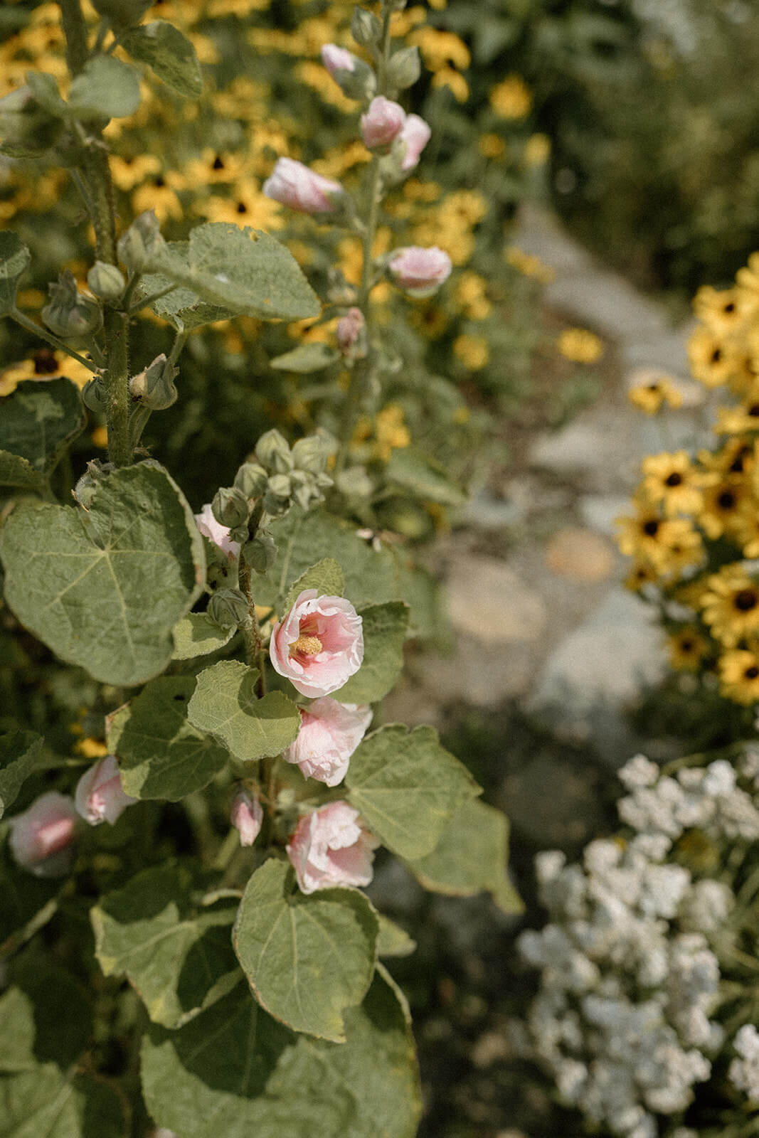 Stowe-Vermont-Elopement-1_websize