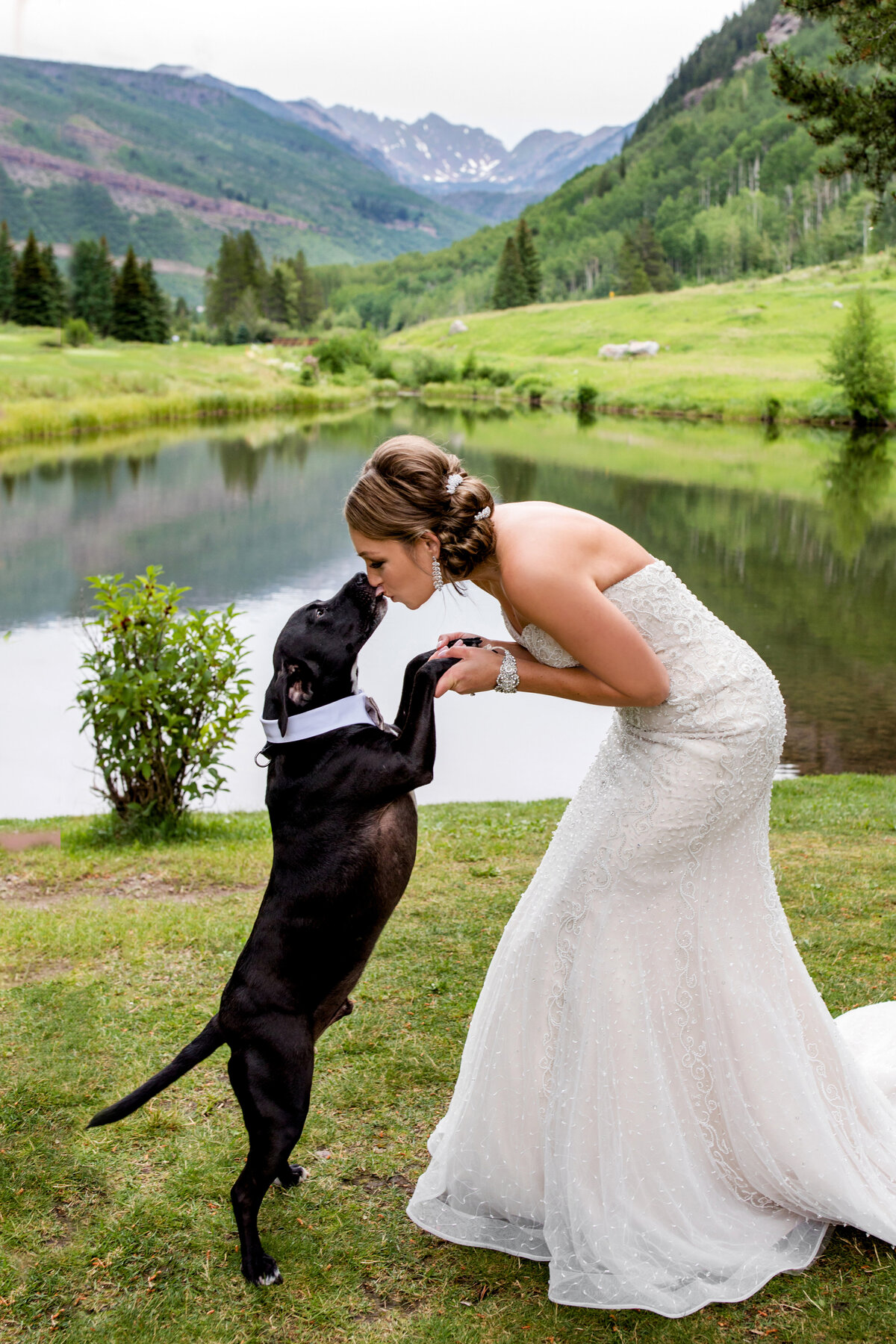 bride-with-dog-vail-colorado-wedding-photos