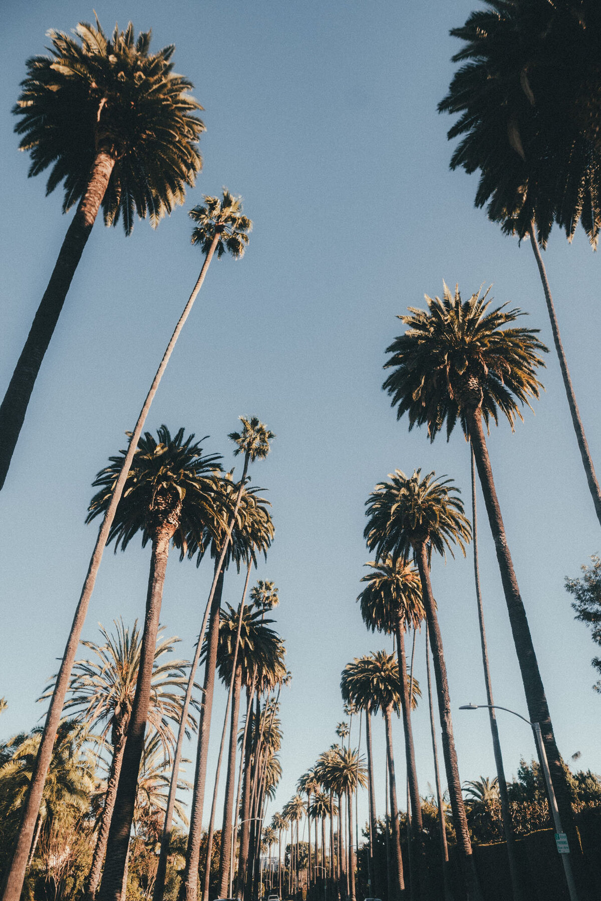 jayson-hinrichsen-bcAU1K111XM-unsplash