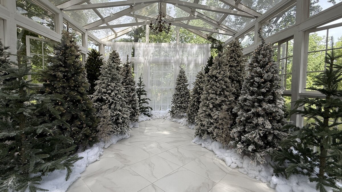 Winter Wonderland Christmas Minis at the Oak Atelier 1