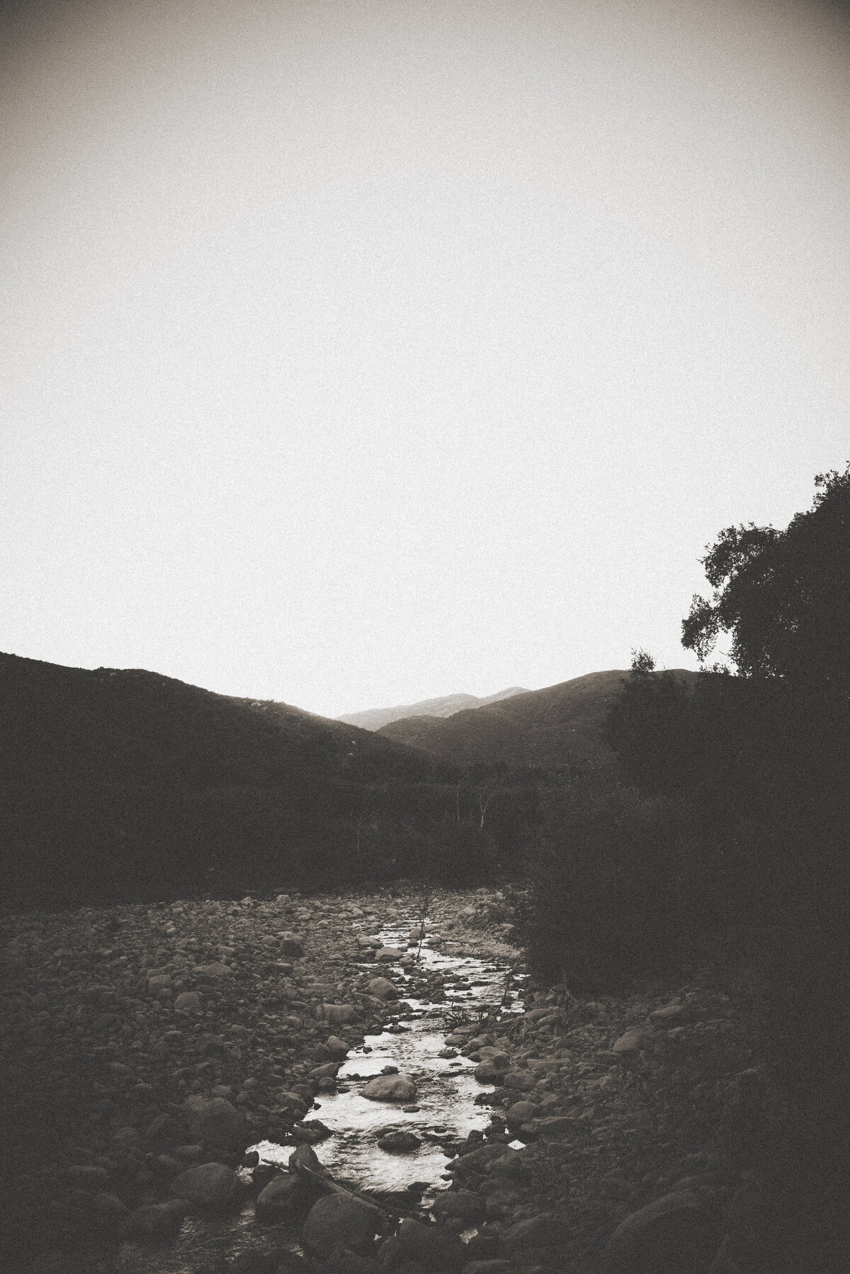 231014_SN_6131