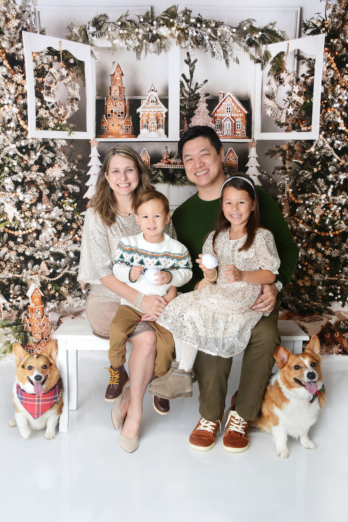 houstonchristmasbakingphotoshootmini (4)