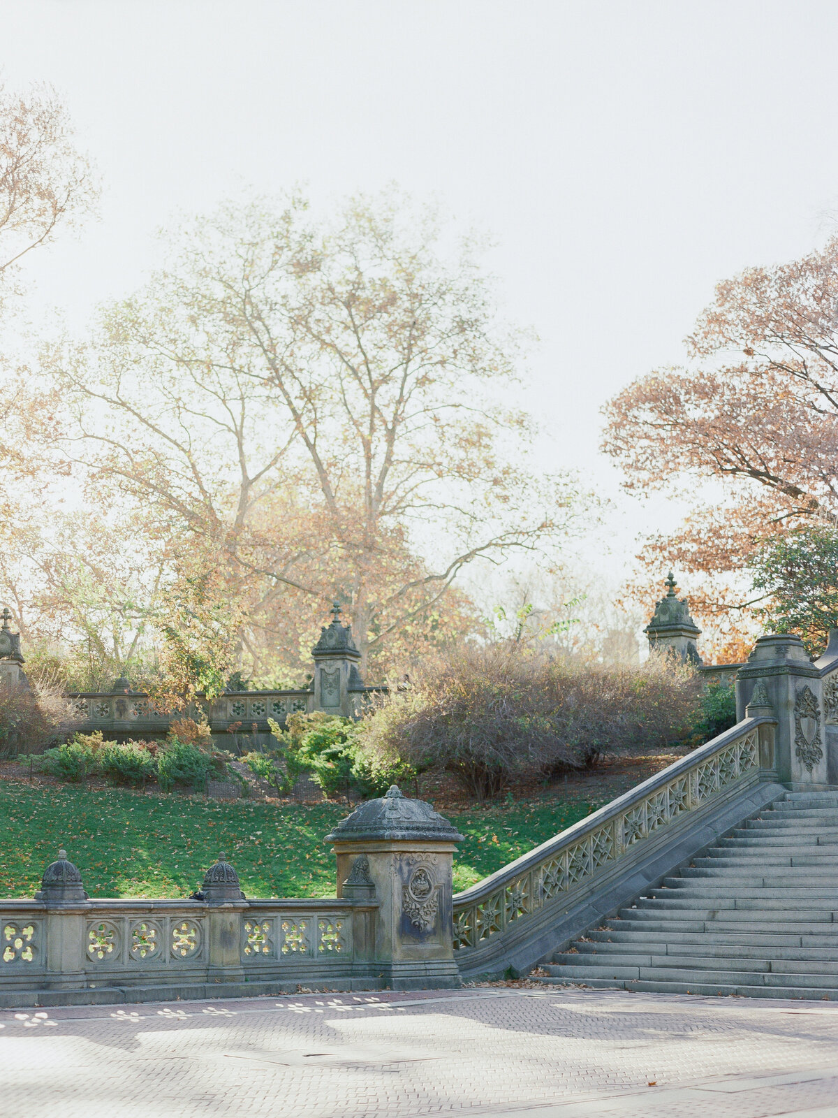 Bethesda-Terrace-Engagement-Photos-2