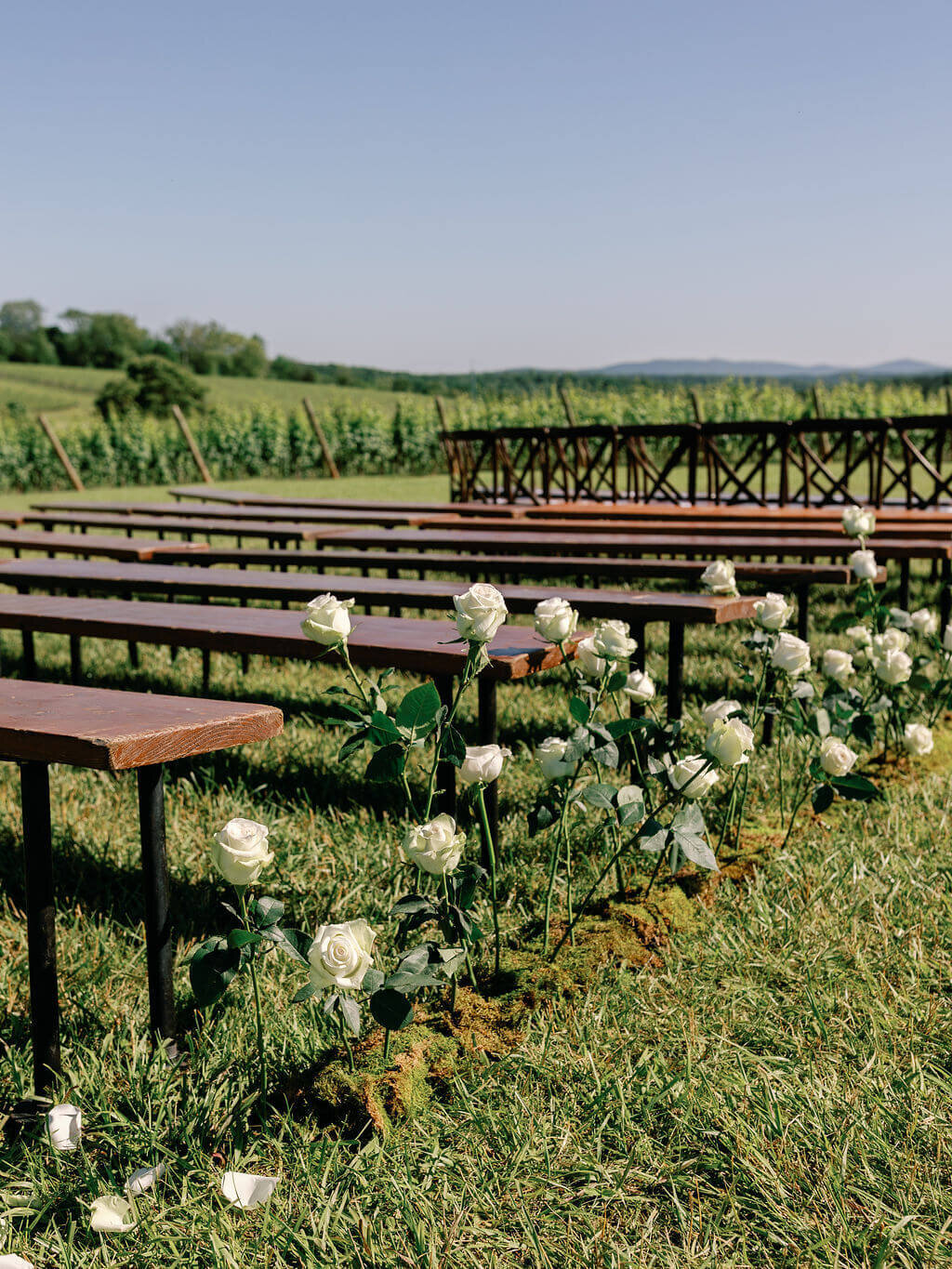 megan-zachary-outdoor-wedding-ceremony-florals-springvale