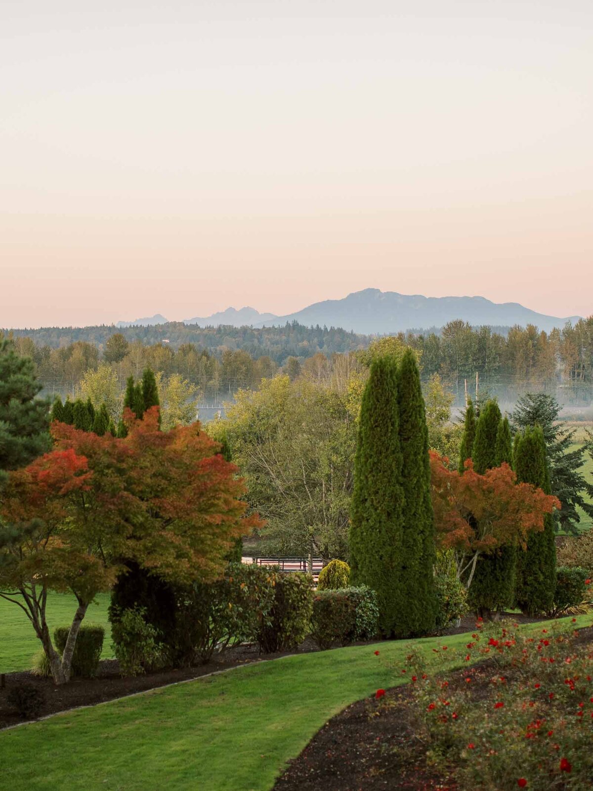 Real-Wedding-Photos-Shaunae-Teske-36