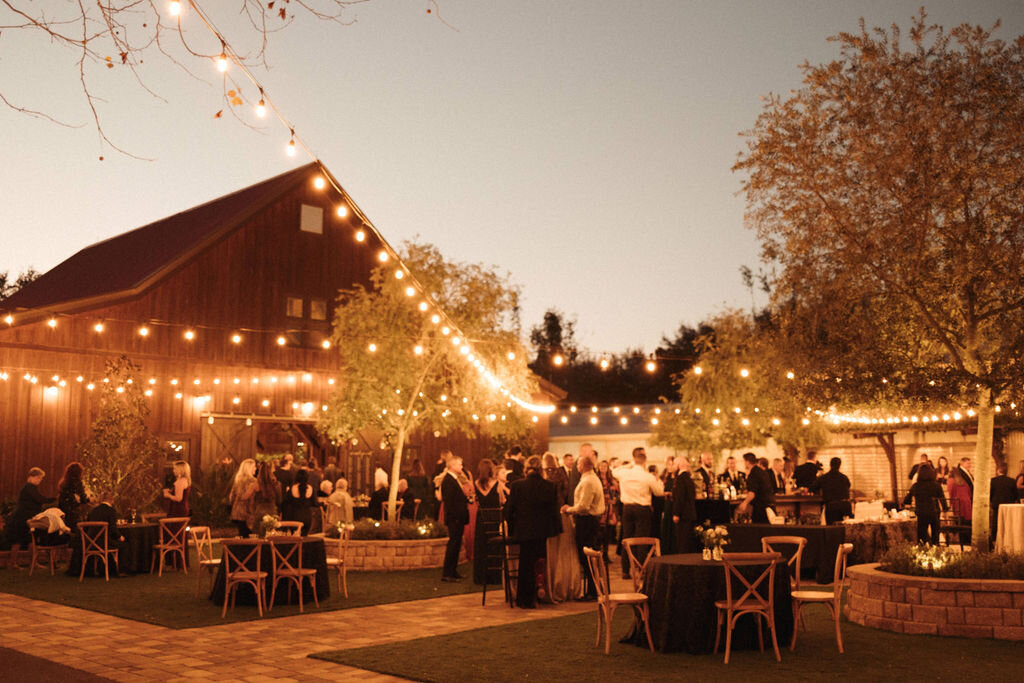 17 - Mision Lago Estate Wedding Courtyard Cocktail Hour - Tampa Bay Wedding Planner