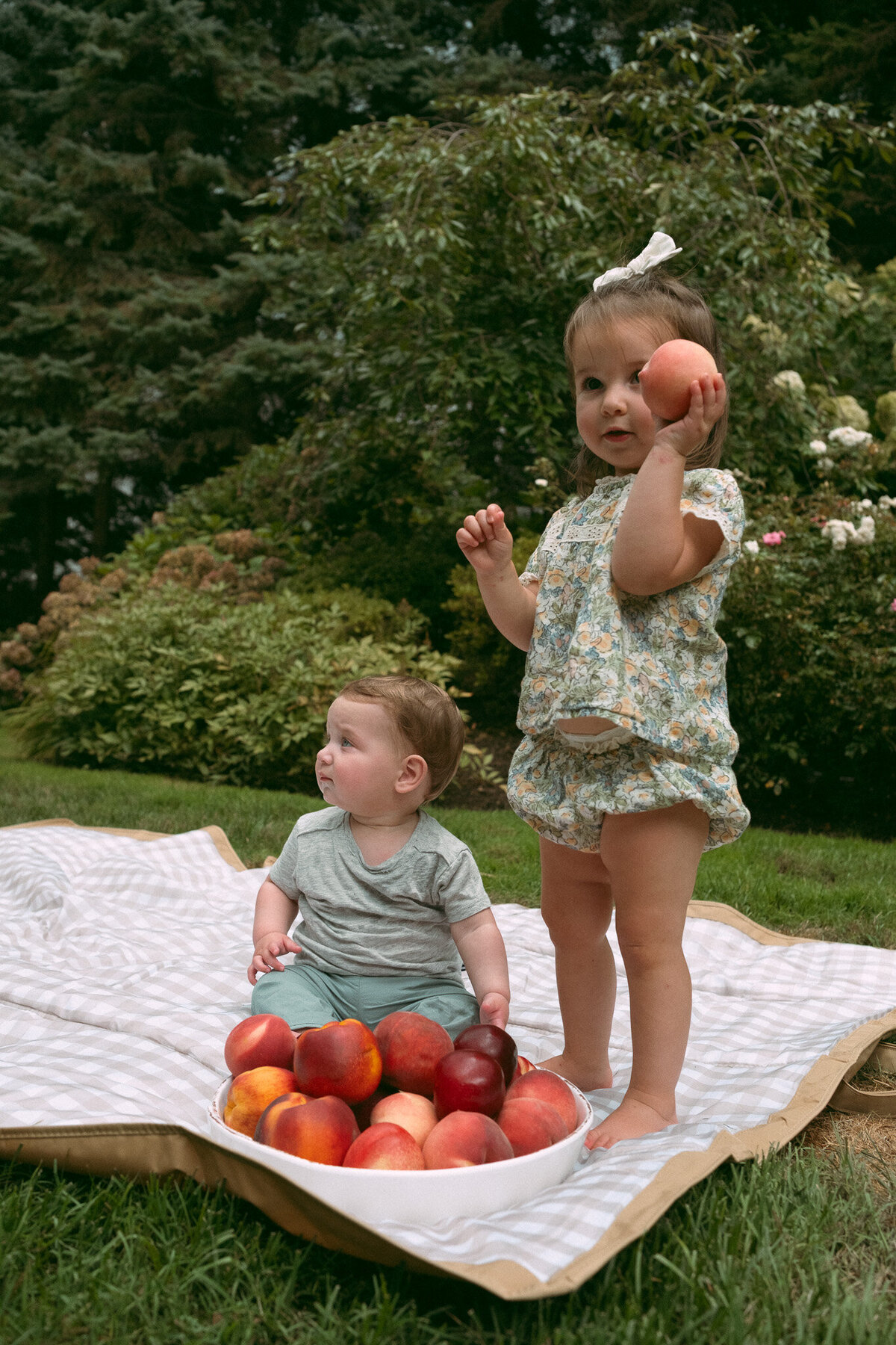FieldsFamily_00238