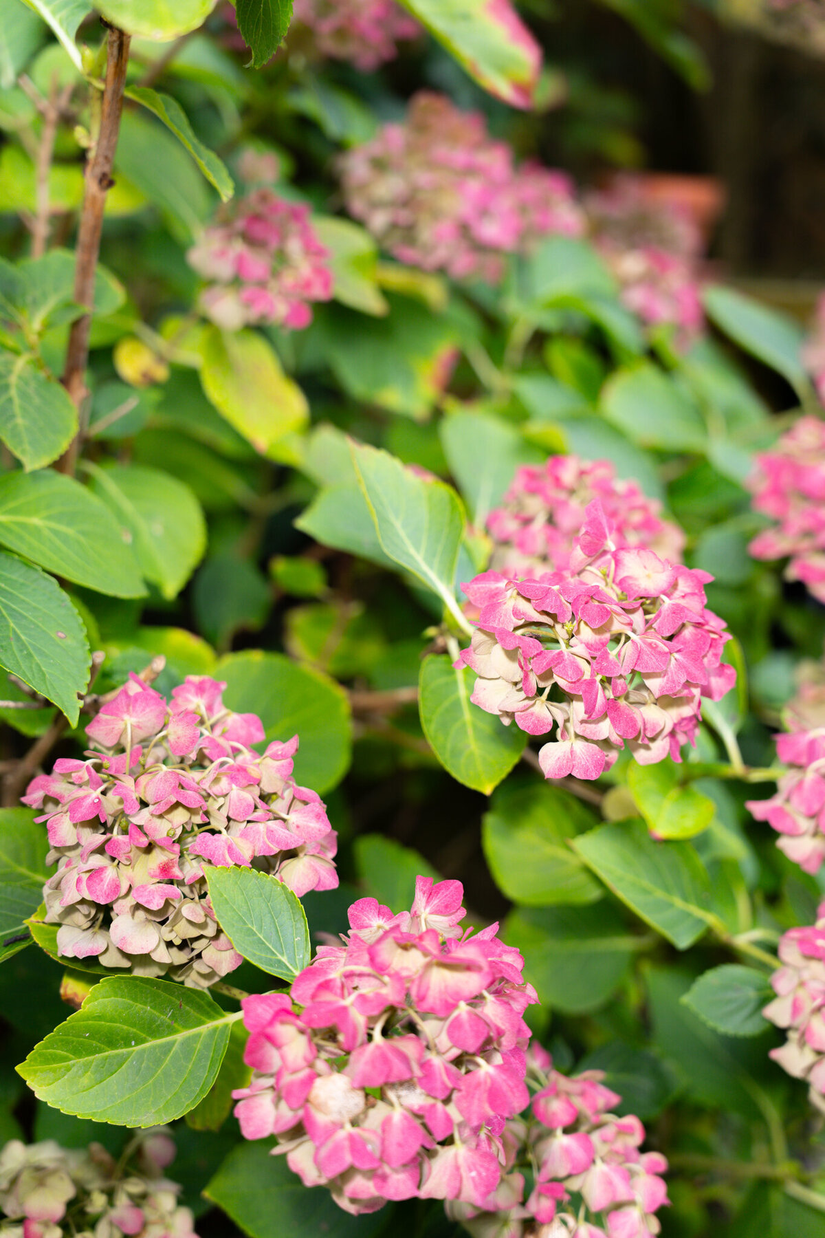 TGS Conciergerie-121