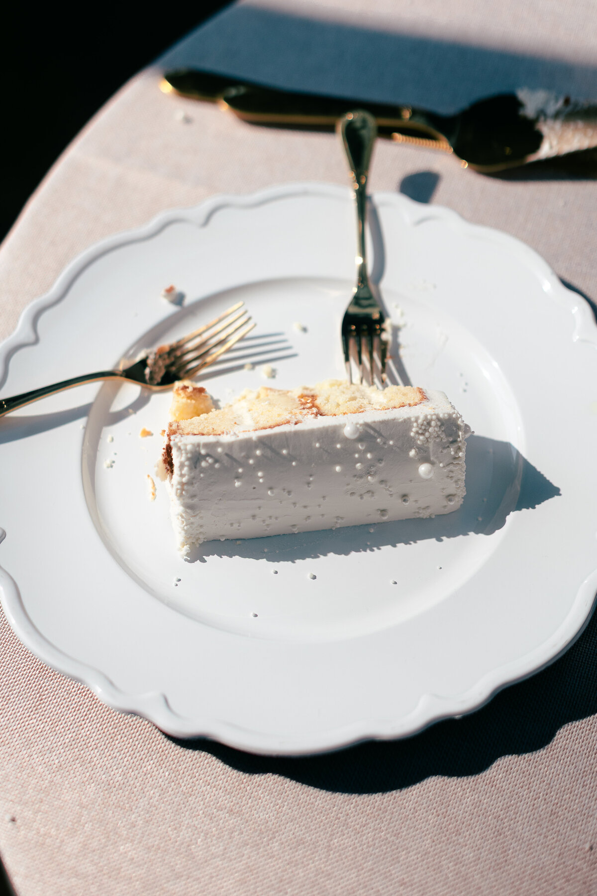 Jordyn_Dryden_Photography_Detroit_Chicago_Traverse_City_Photographer-506