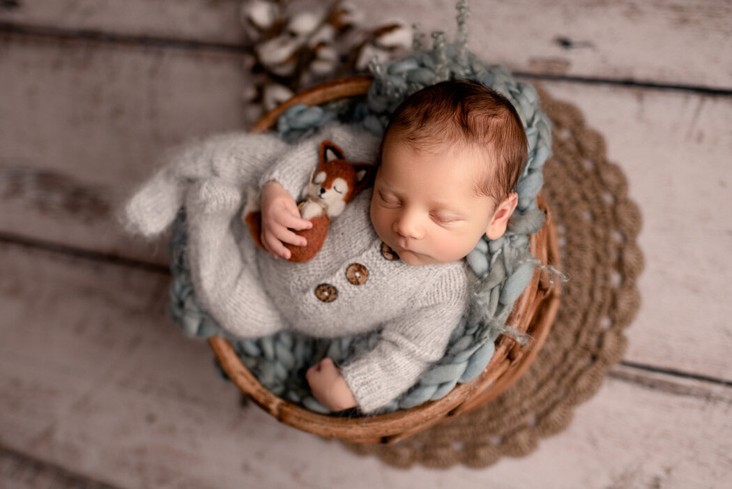 Brighton Newborn Photographer baby holding fox by For The Love Of Photography