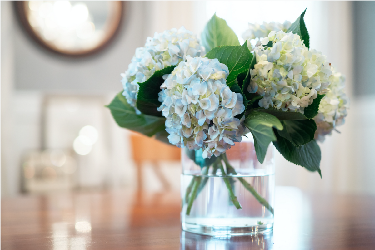 Bethesda, MD interior design featuring flowers