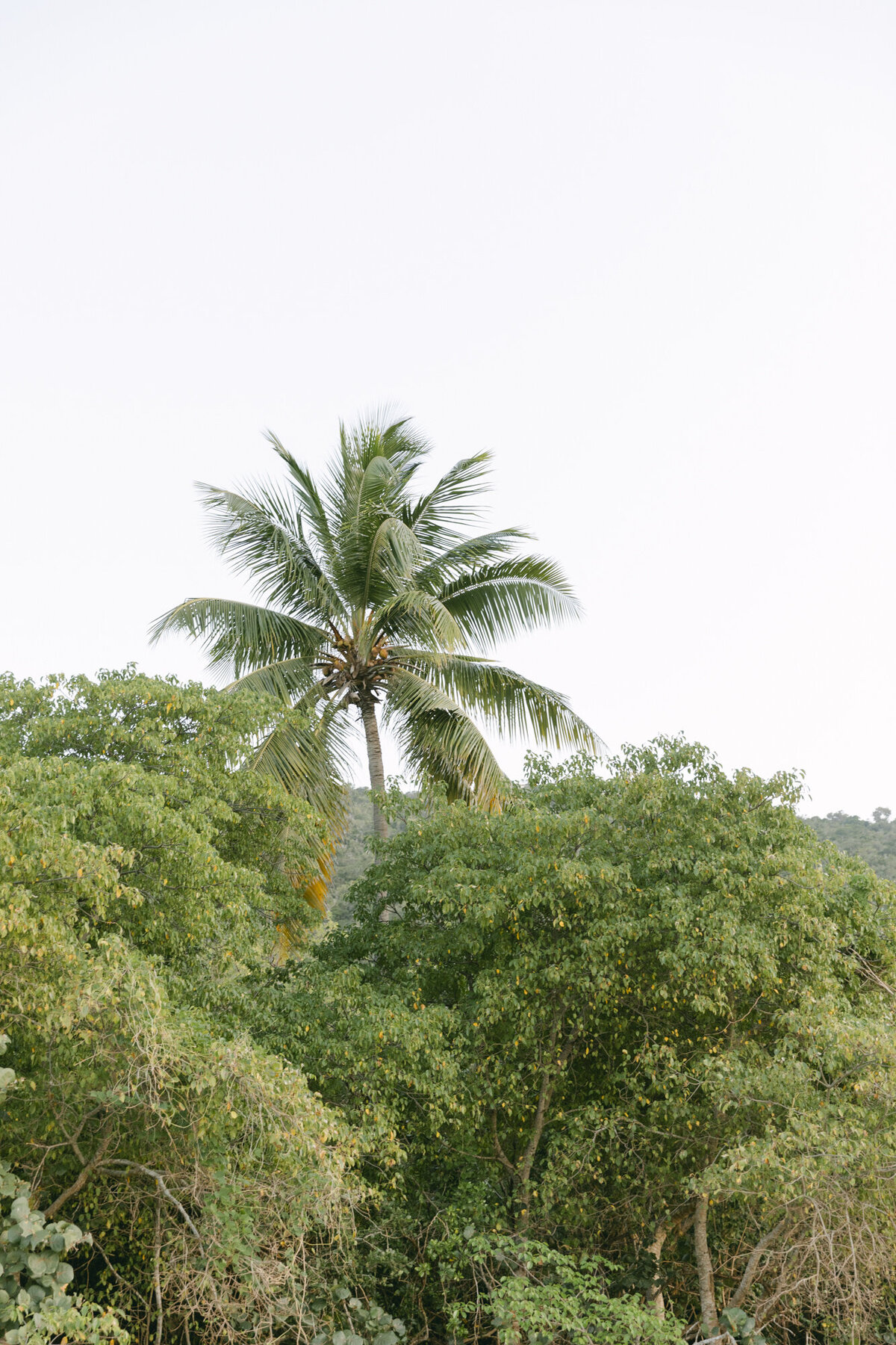 PERRUCCIPHOTO_ST_THOMAS_VIRIGIN_ISLAND_WEDDING_44