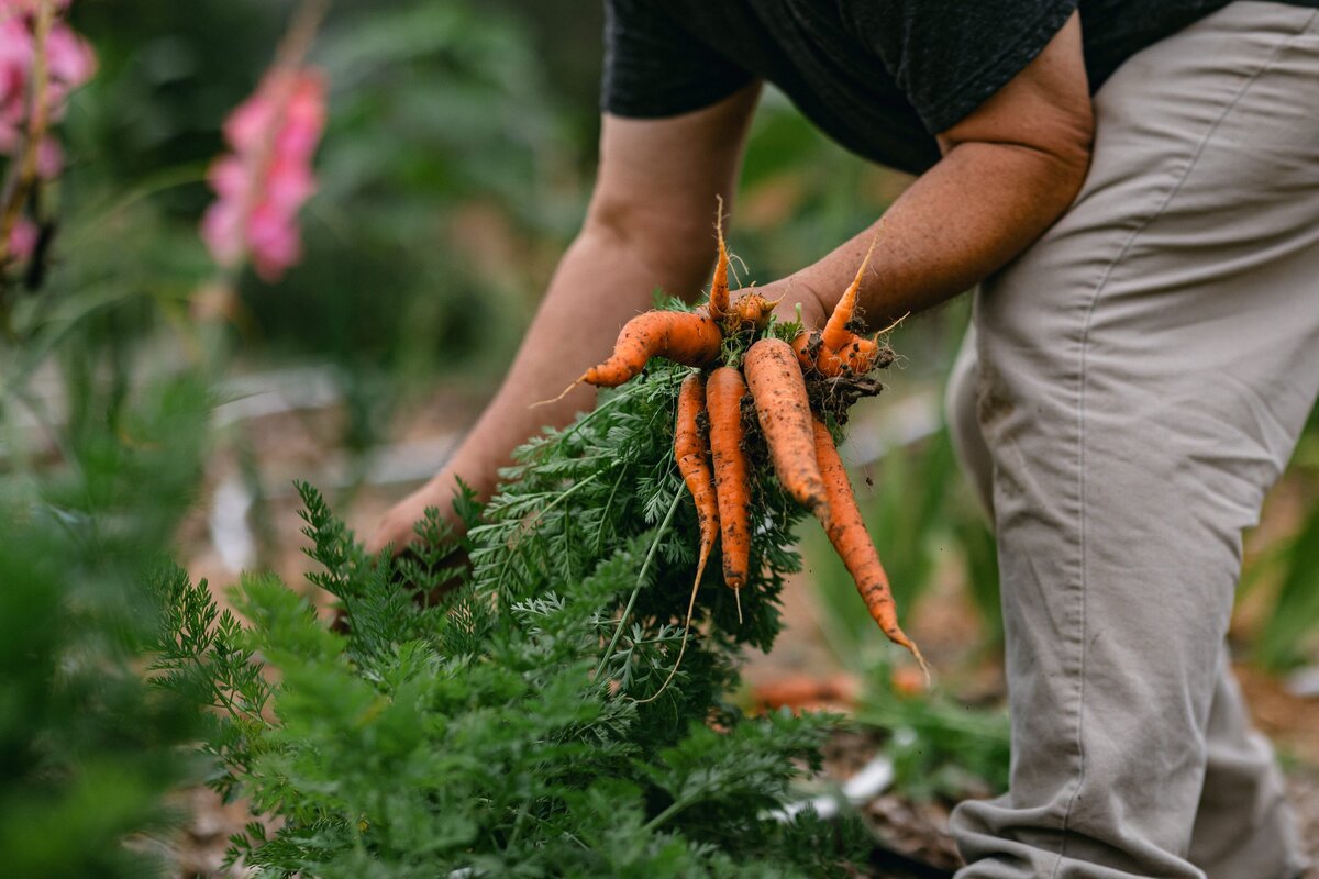 Leap-Lab-Science-Farm-Ventura-California-Santa-Paula-Non-Profit-0012