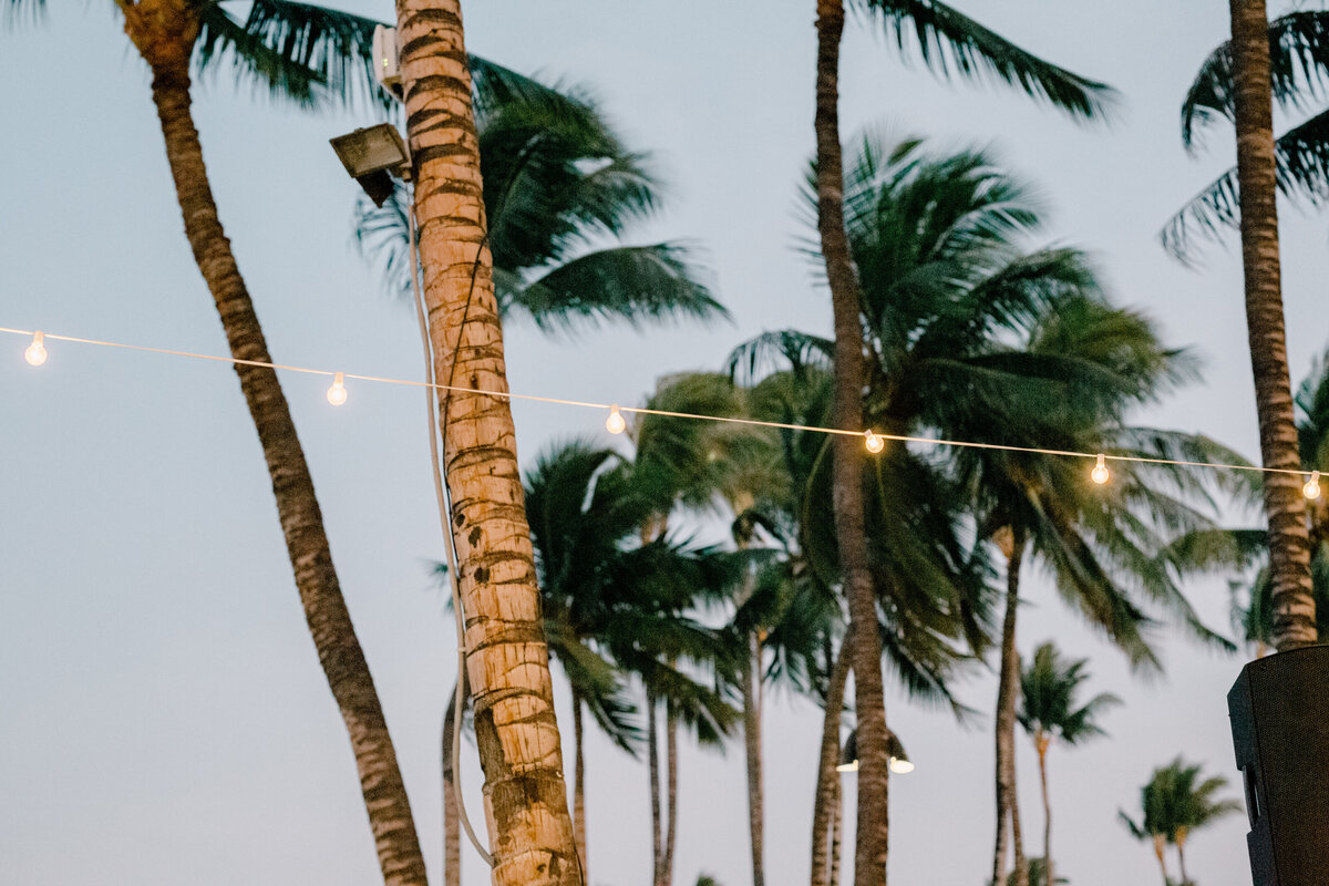 Fairmont Orchid Wedding-Big Island Hawaii Wedding-Waikoloa Beach-Destination Wedding Photographers-Something Minted Photography-454