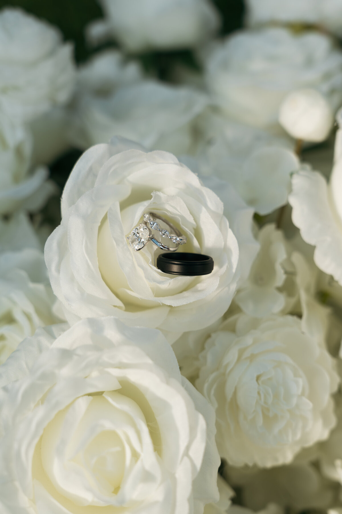 Wedding + Event Photography