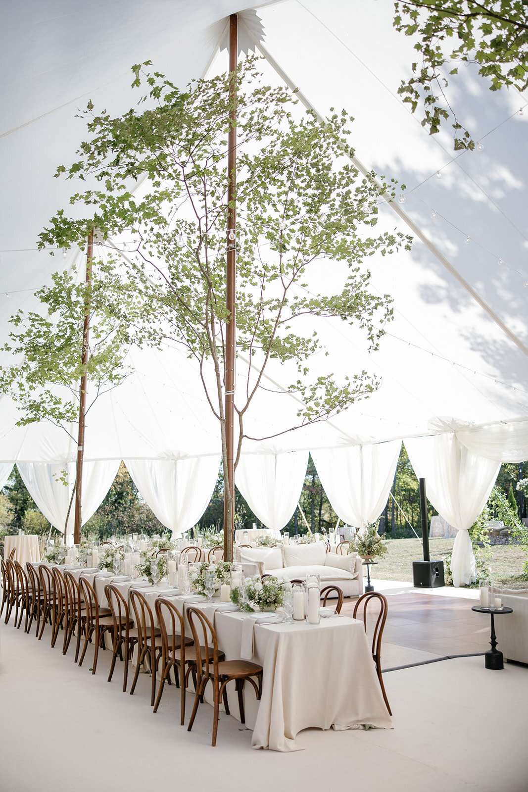Trees supporting tent poles at elegant tented green & white wedding
