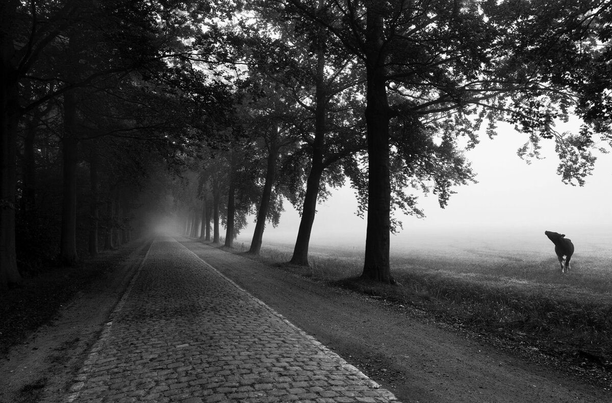 Bart Van der Moeren - De Stille Kempen - 021