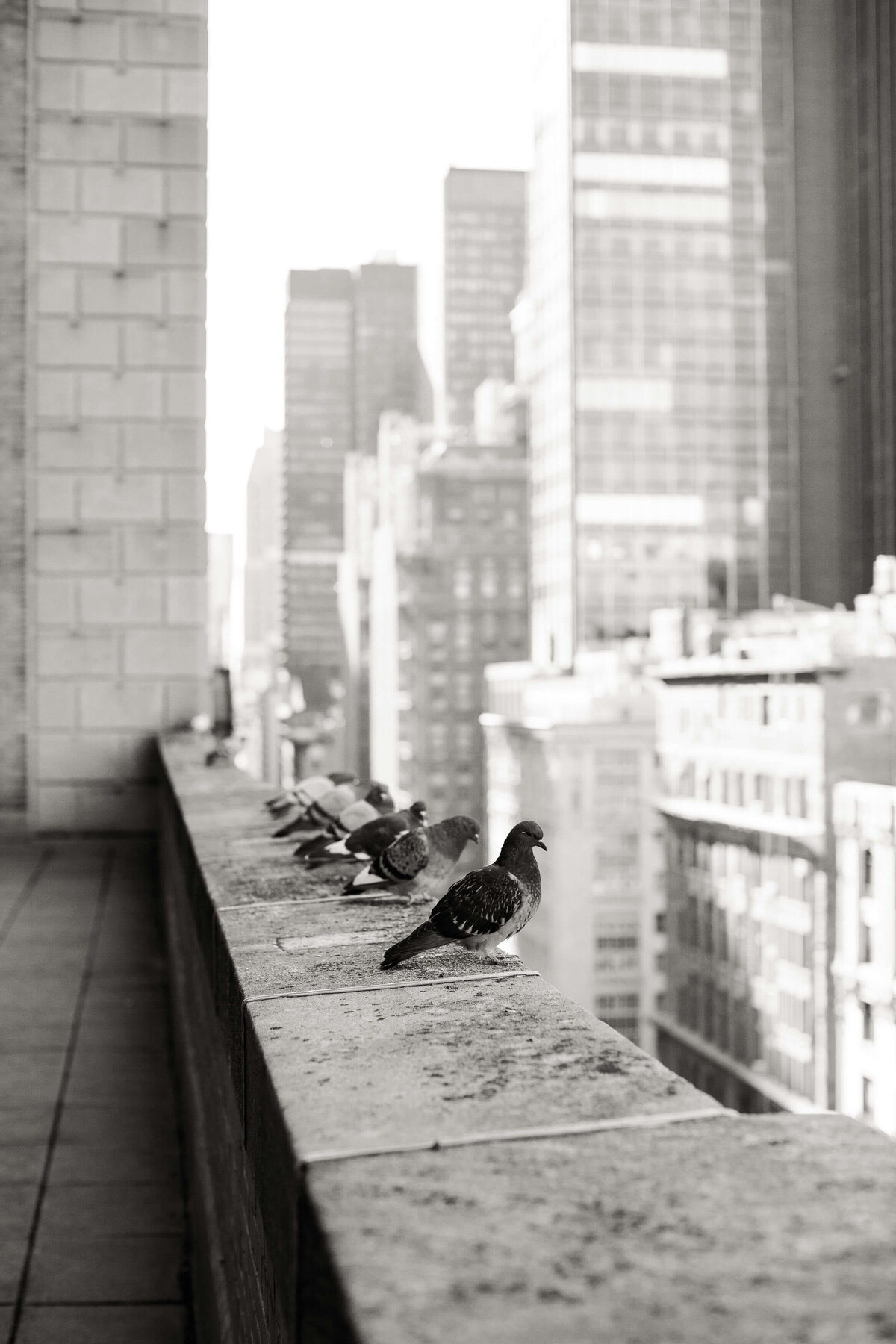 New_York_Athletic_Club_Wedding_007