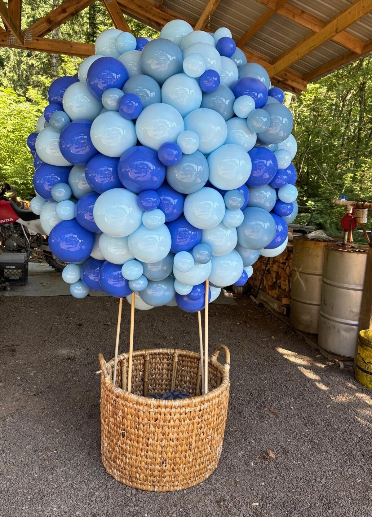 hot air balloon baby photoshoot balloons