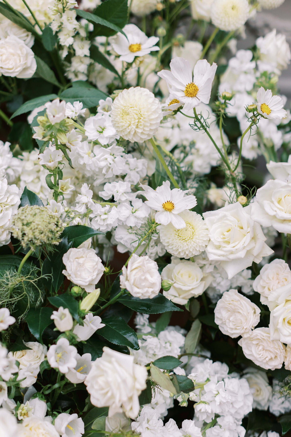 California-Club-Wedding_Los-Angeles-Wedding_Southern-California-Wedding-Photographer_Lisa-Leanne-Photography_17